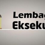 Lembaga eksekutif