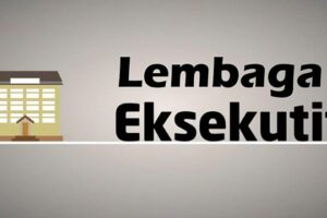 Lembaga eksekutif